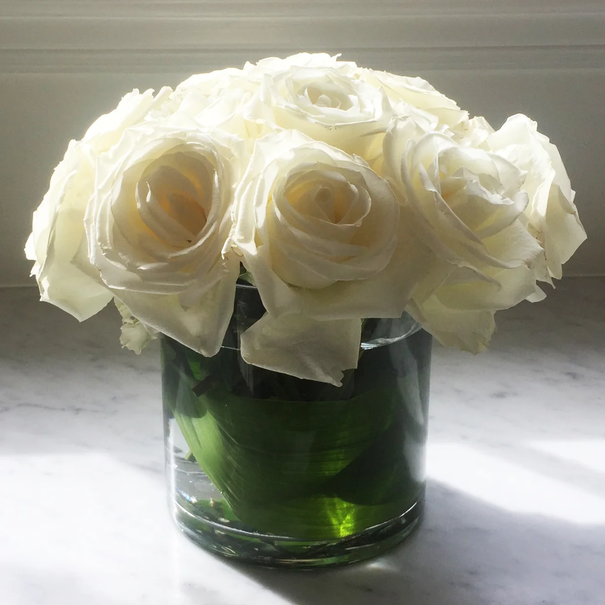 Ivory roses, low and lush