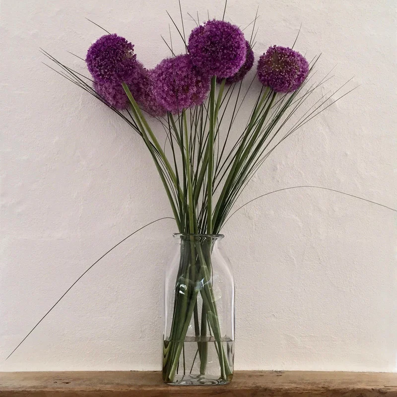 Allium, tall and architectural