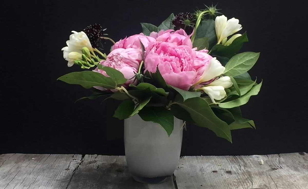 Pink peonies