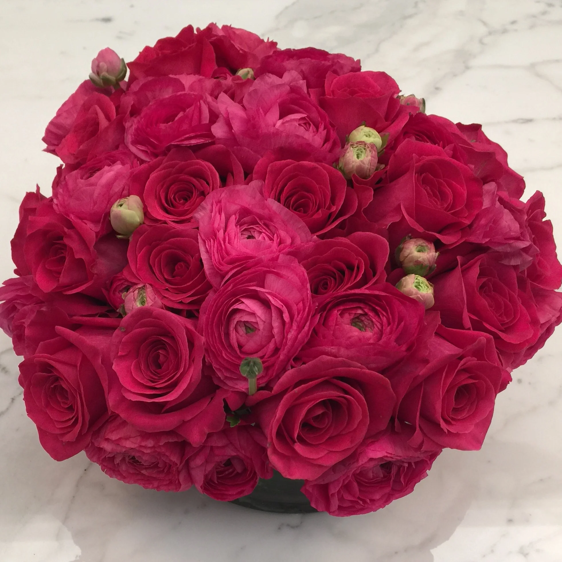 A dome of red ranunculus
