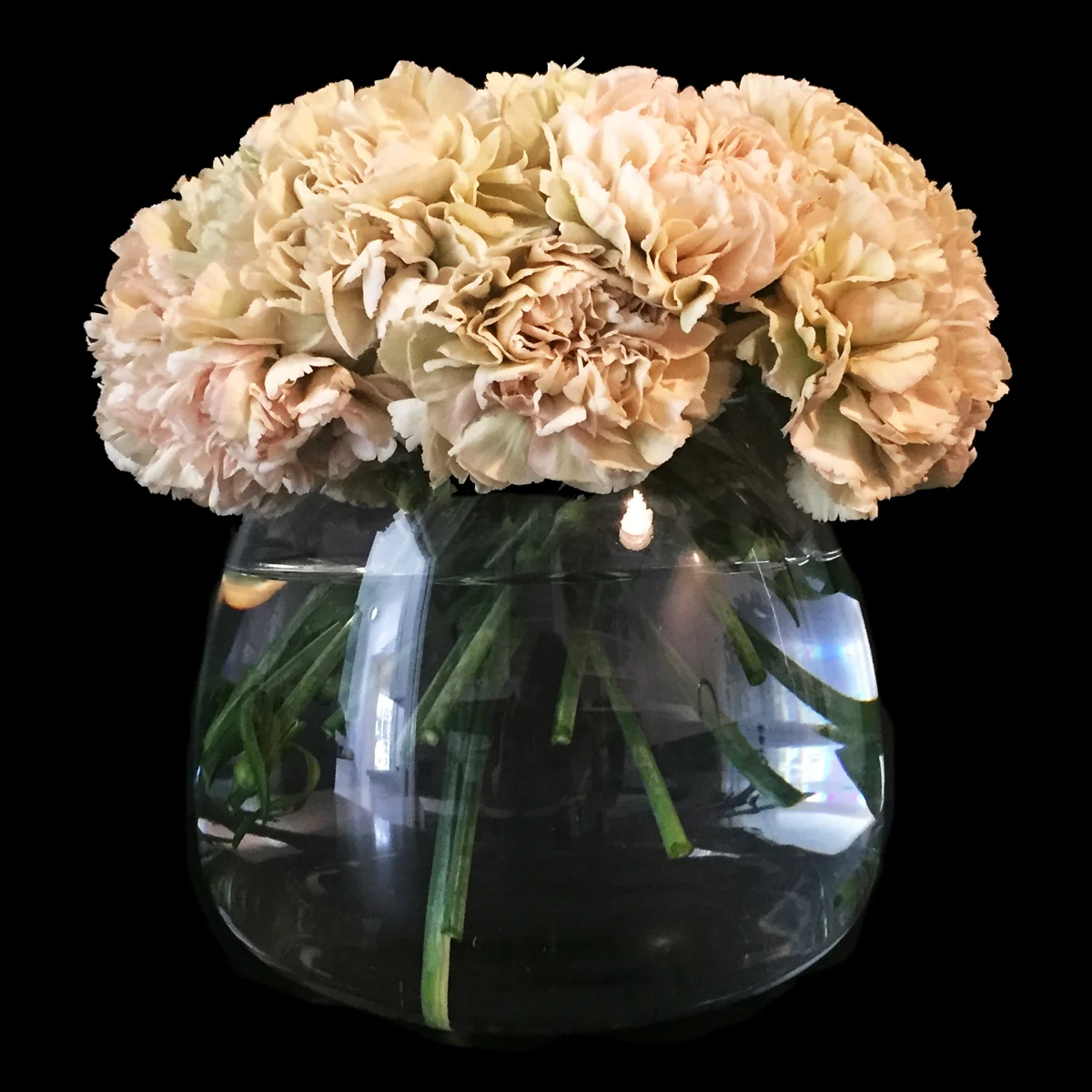 Carnations in blush and caramel