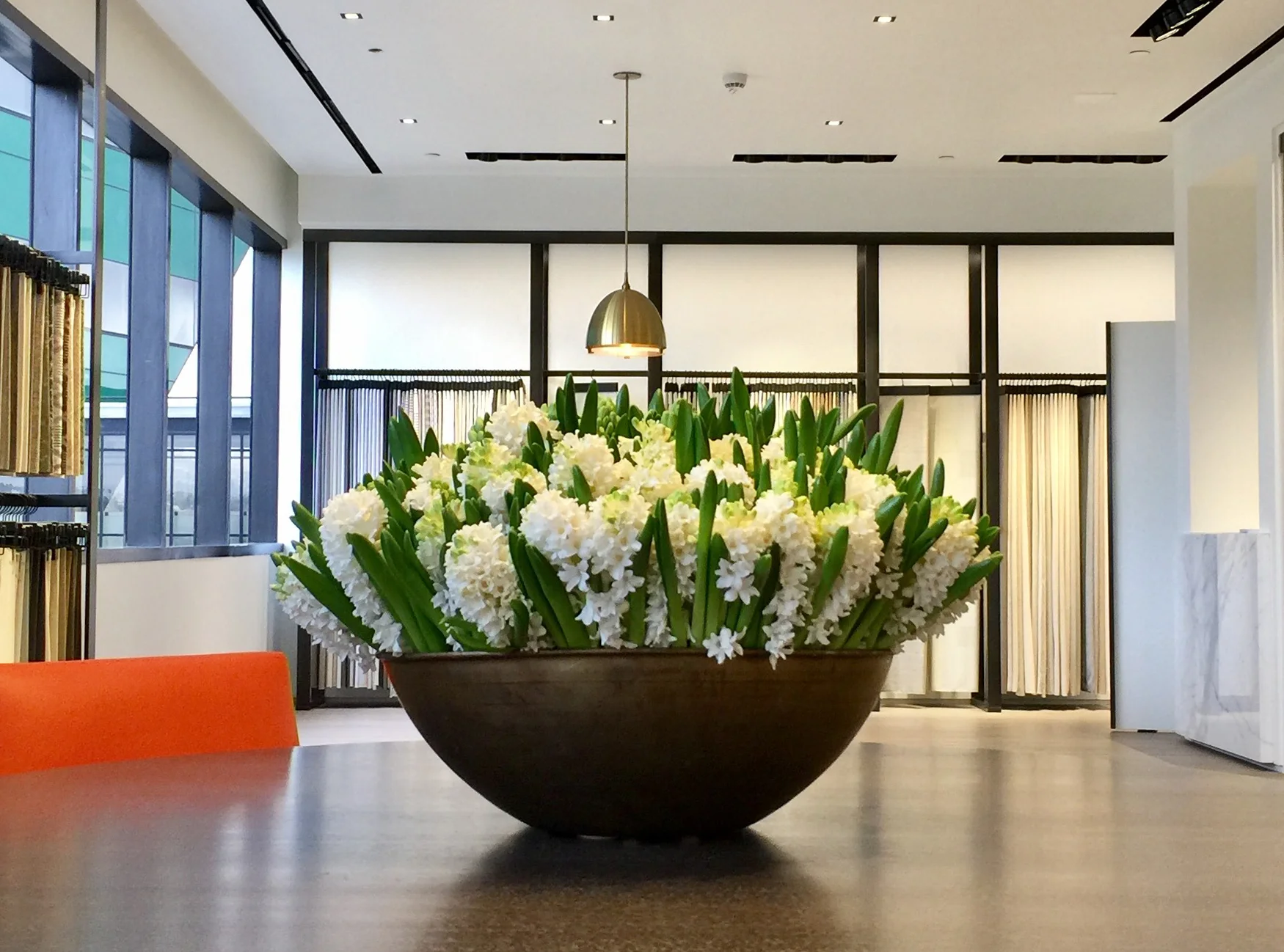 White hyacinth in a wide bronze bowl across a showroom floor